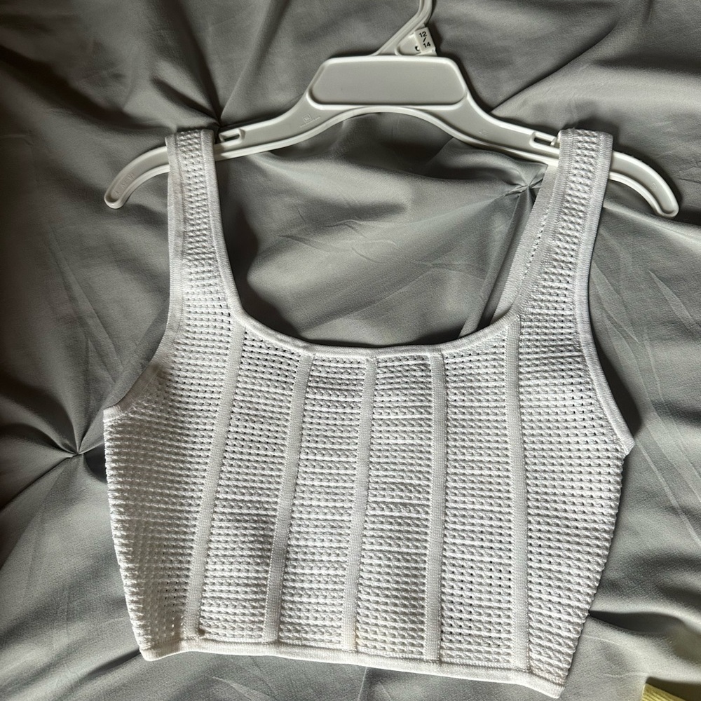Aritzia Babaton cropped tank
